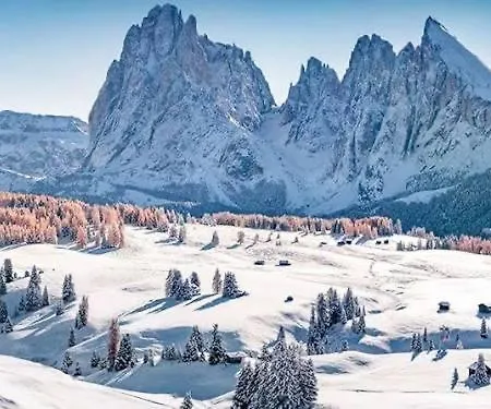 Daire Centralissimo E Alle Porte Delle Dolomiti - Olimpic Winter Games Cortina